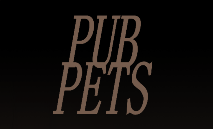 酒吧宠物 PUBPET v1.0.0 官方中文版_ZDZGAME 终点站游戏