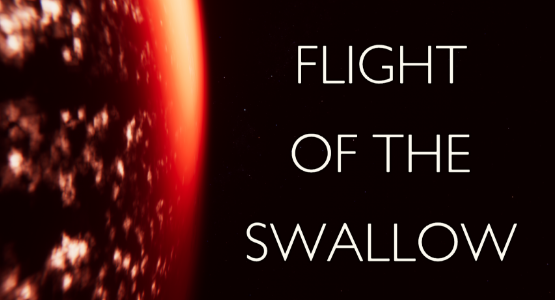 燕子的飞行 Flight of the Swallow 0.21 AI中文版_ZDZGAME 终点站游戏